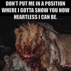 Meet your Posher, Corey